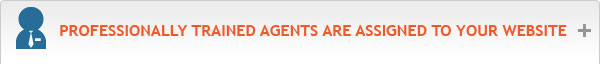 Professionally trained agents are assigned to your website